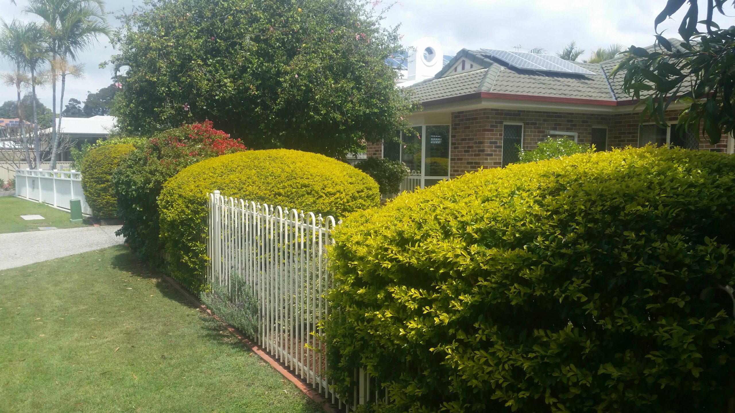 Residential Garden Care and Pruning