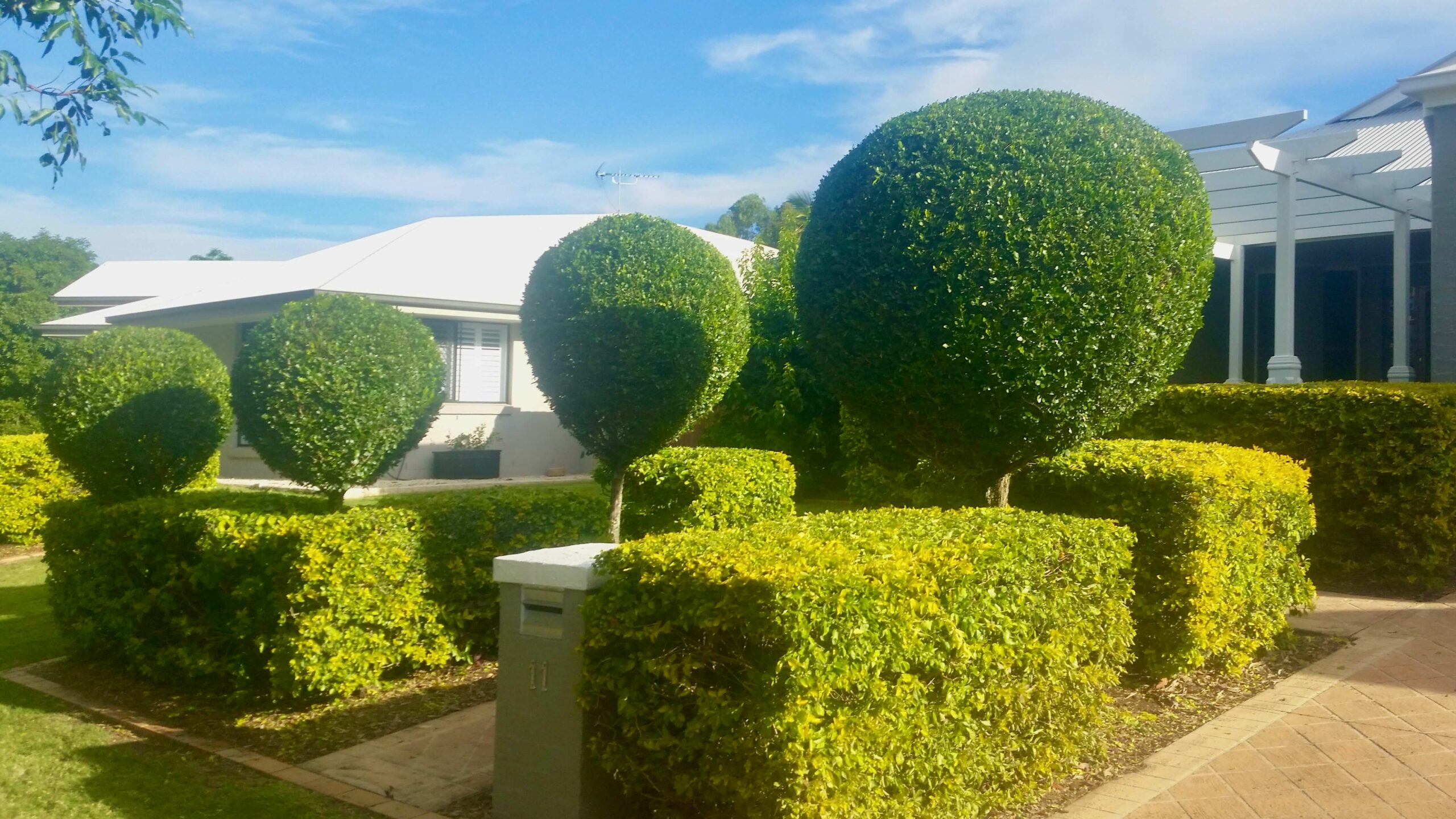 Majestic garden design with pruned trees and hedges elegant and neat design